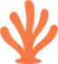 Algi